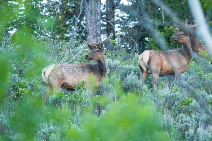 Checking For Vacation Stalkers