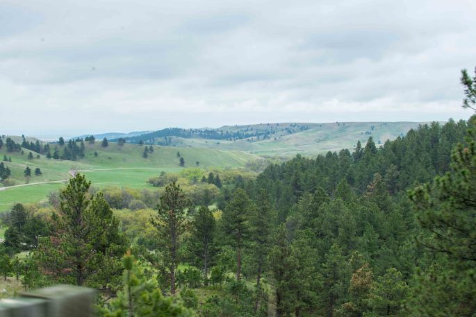 Custer State Park