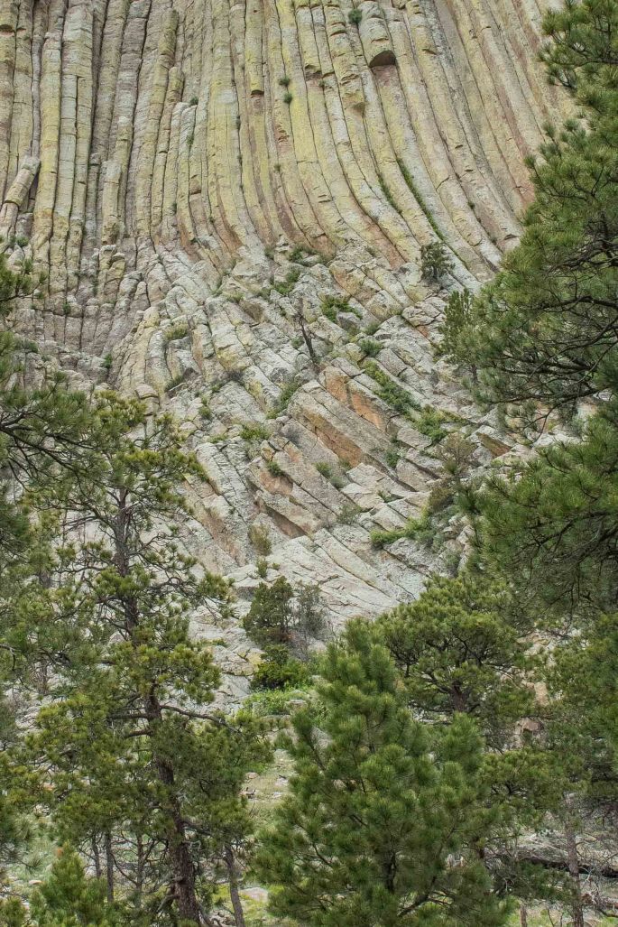 Devils Tower Detail