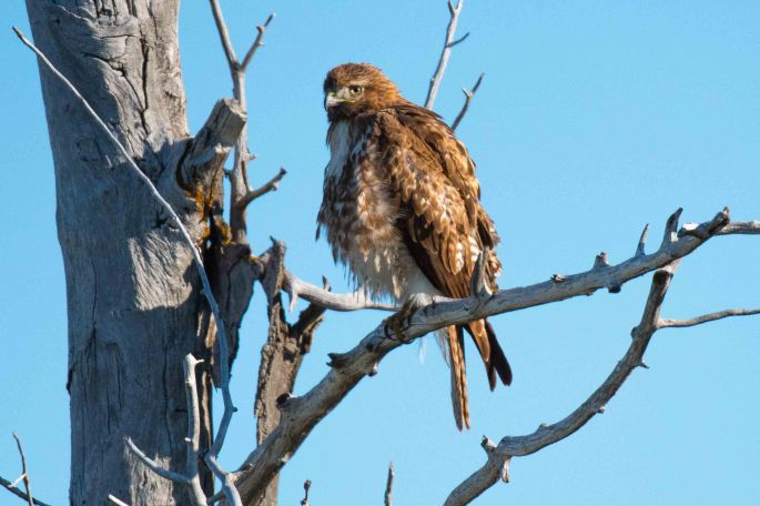 Getting The Evil Eye