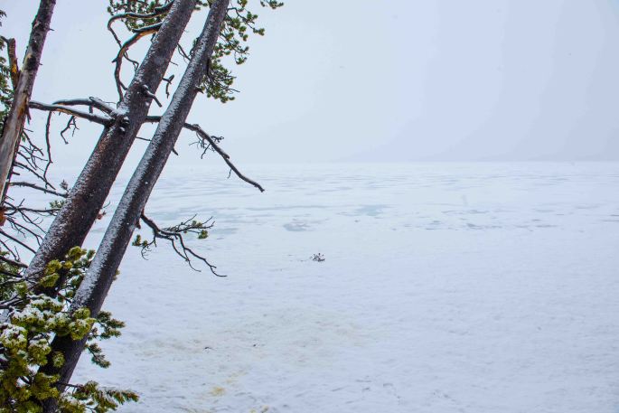 Ice and Snow Covered Lake