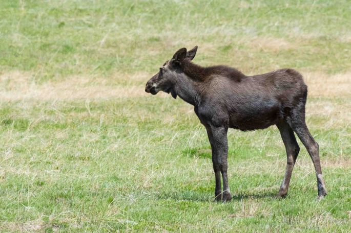 Is This My Best Side