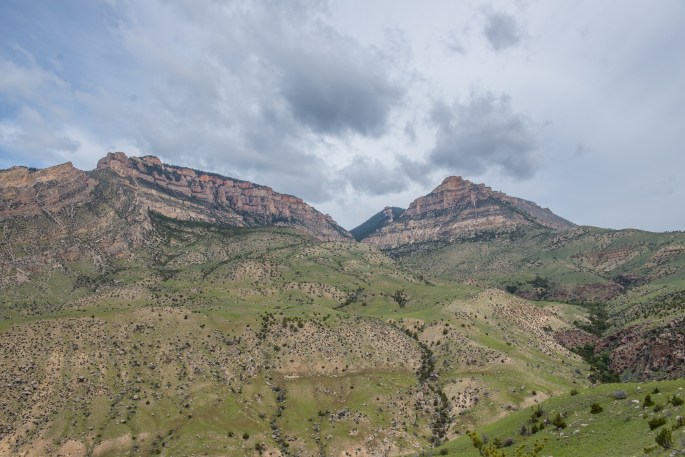 It Almost Looks Fake