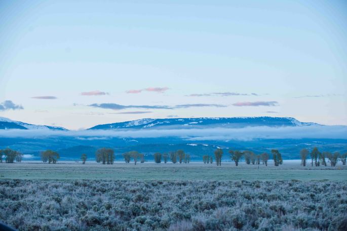 Morning View to the South
