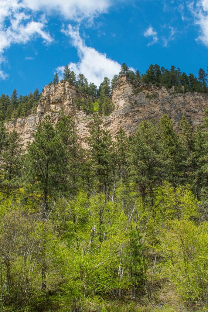 Spearfish Canyon Wall 2