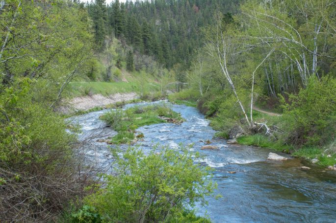 Spearfish Creek with Water