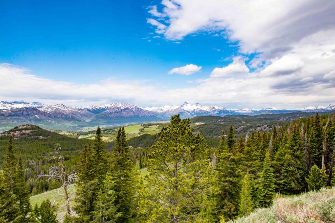 A View Of The Beartooth Mountains
