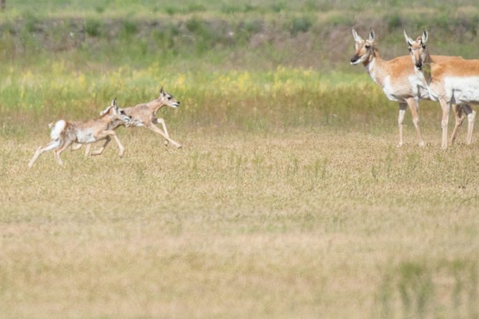 And The Race Continues