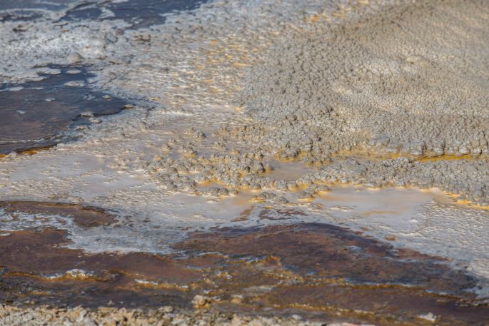 Bacterial Mats In A Thermal Pool