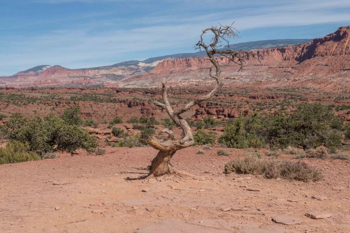 Capitol Reef Formations 3