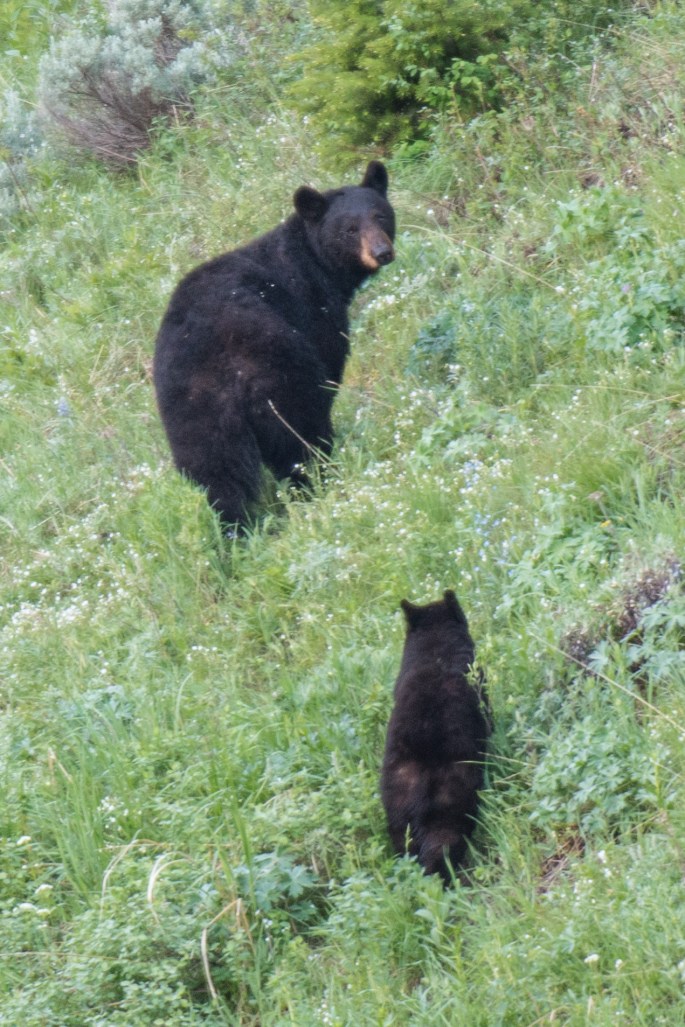 Checking On The Kids