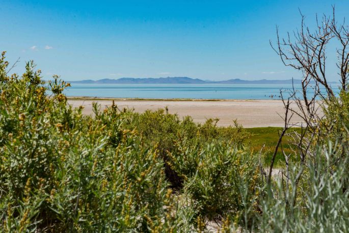 The Great Salt Lake And Beach