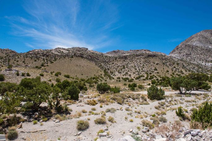 Topaz Rock Pile Area
