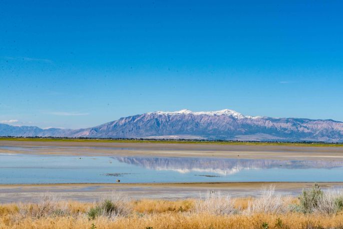 View Crossing The causway