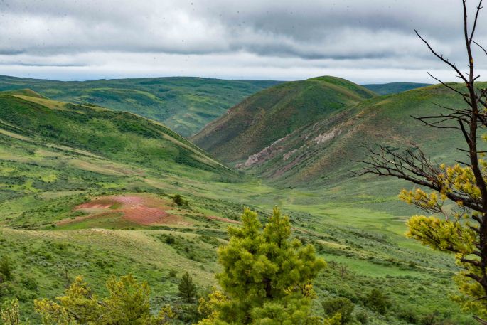View From Near Fossil Butte